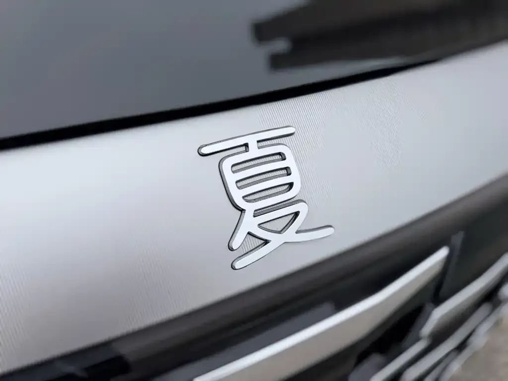 BYD Xia — фото 3