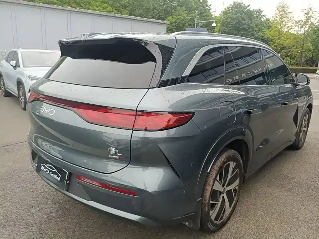 BYD Tang L — фото 10