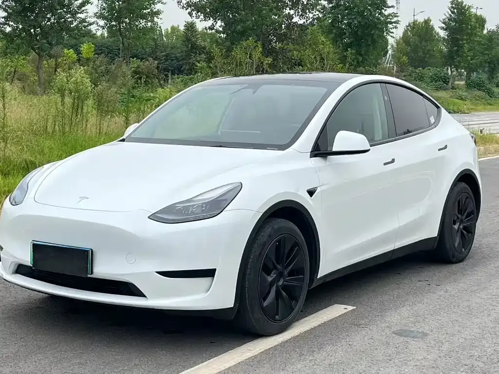 Tesla Model Y — фото 1