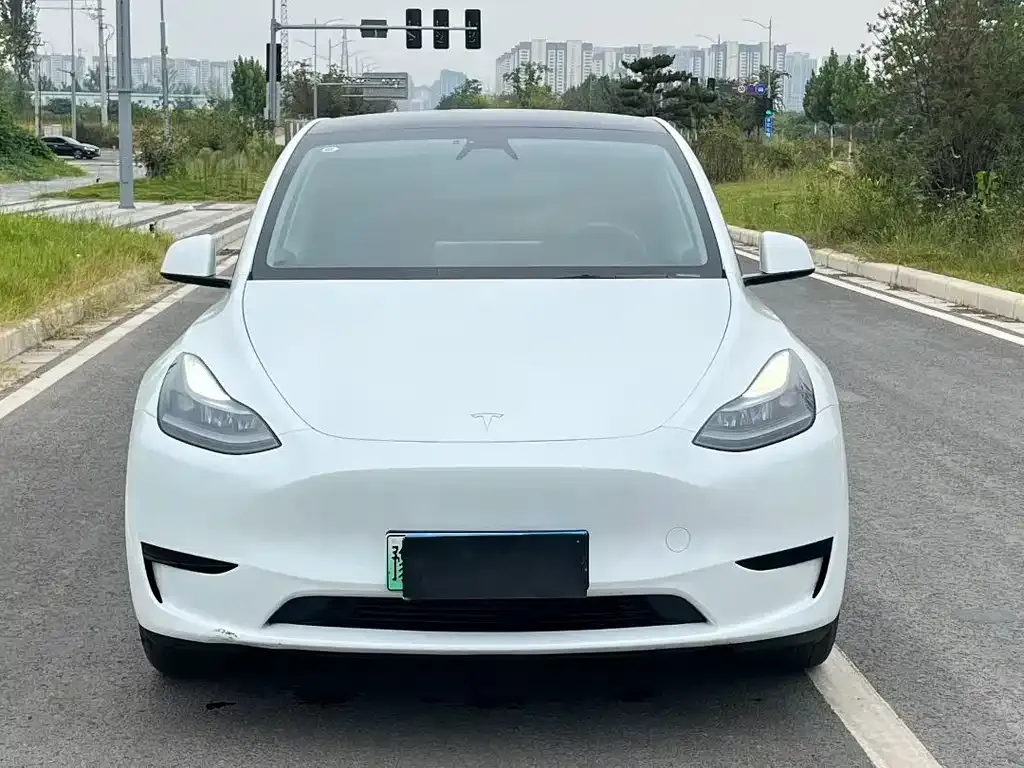 Tesla Model Y — фото 6