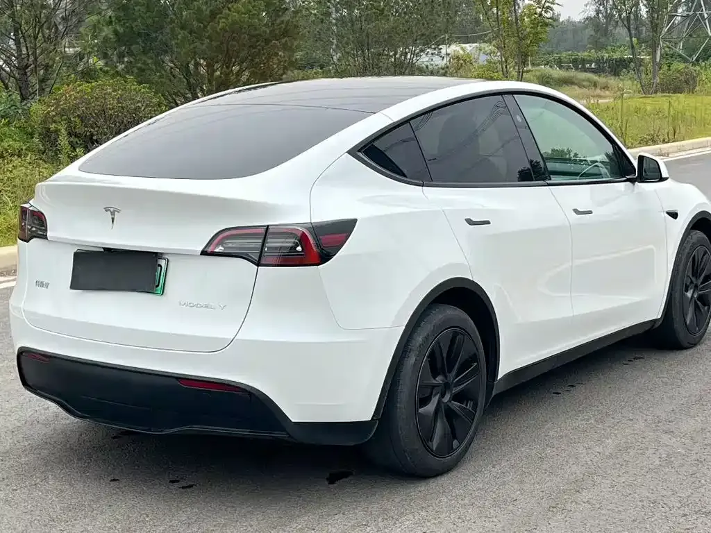 Tesla Model Y — фото 3