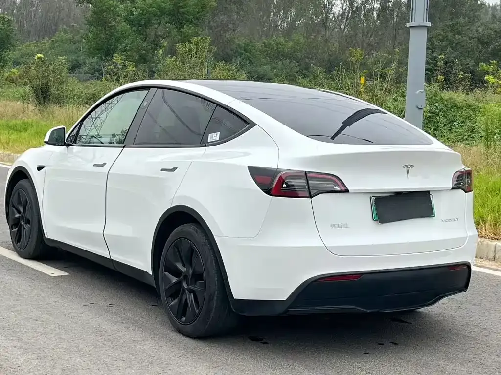 Tesla Model Y — фото 7