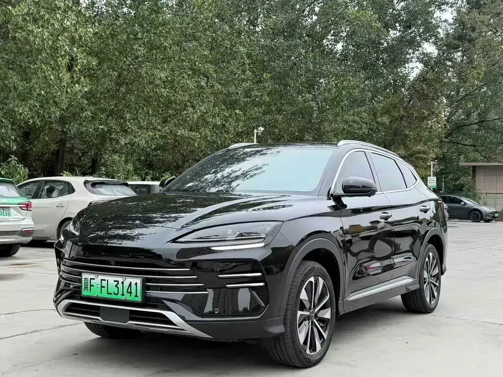 BYD PLUS New Energy — фото 1