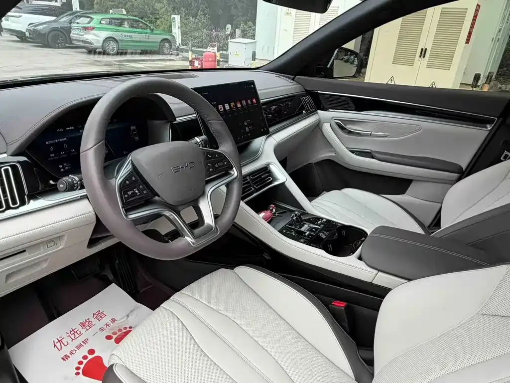 BYD PLUS New Energy — фото 4