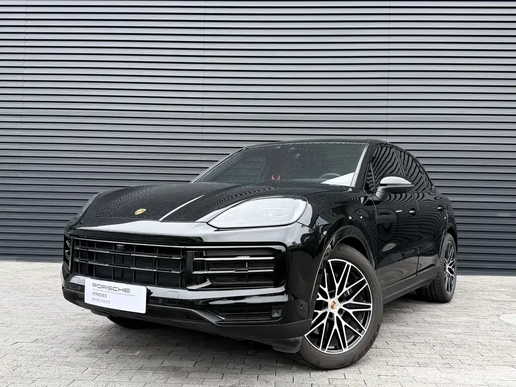 Porsche Cayenne — фото 10