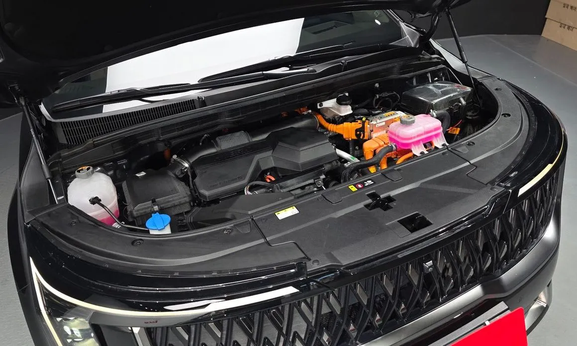 Kia Carnival — фото 10