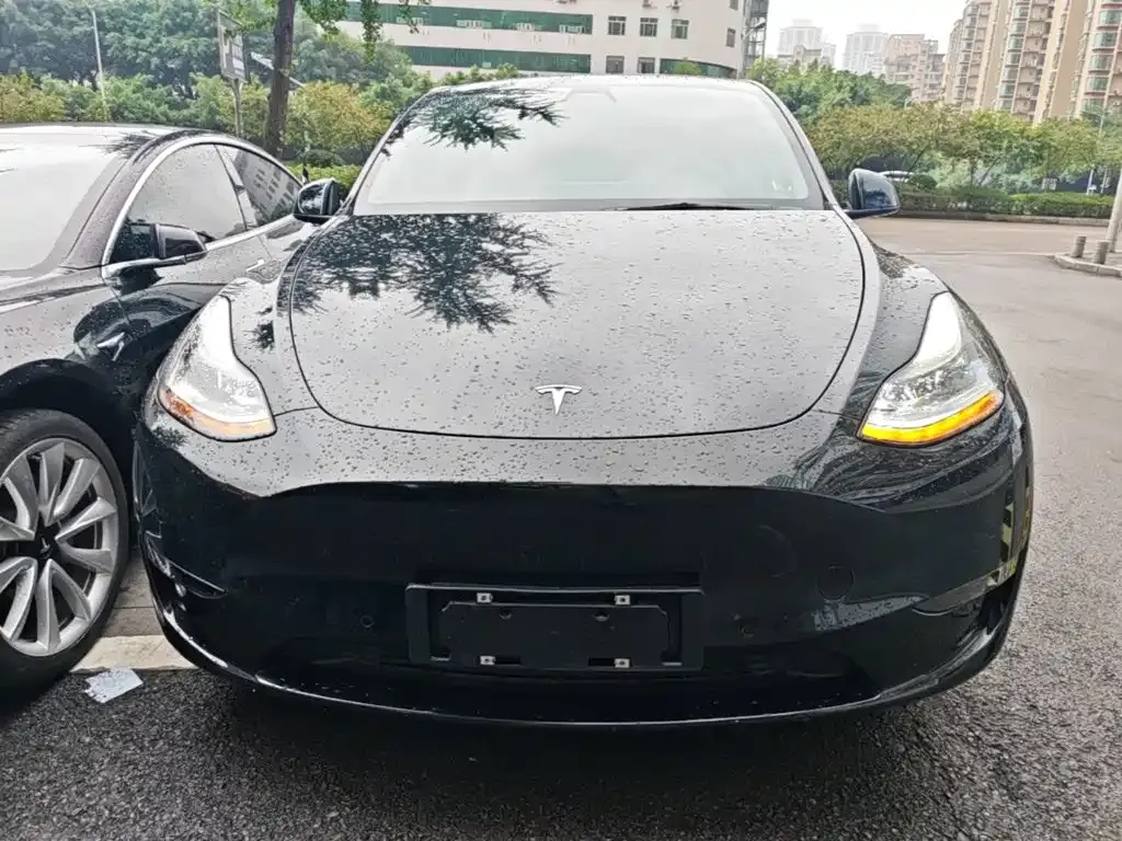 Tesla Model Y — фото 4