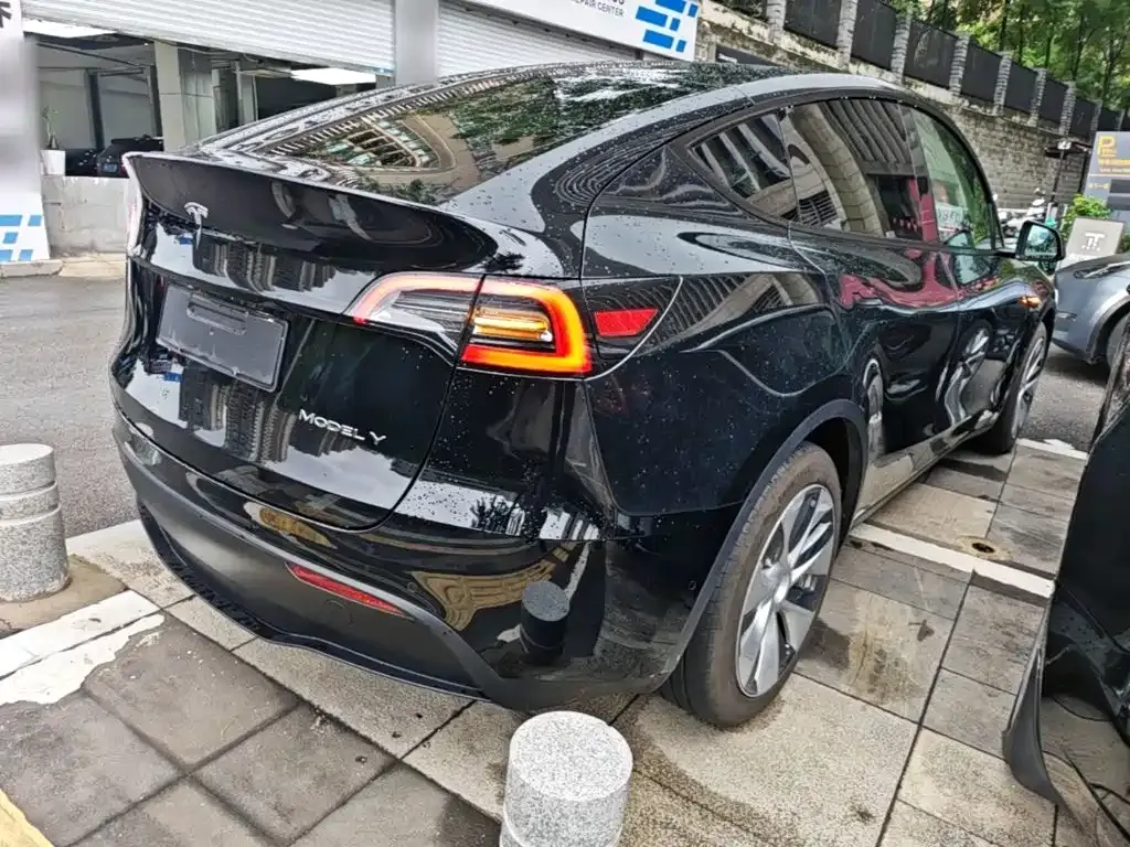 Tesla Model Y — фото 10