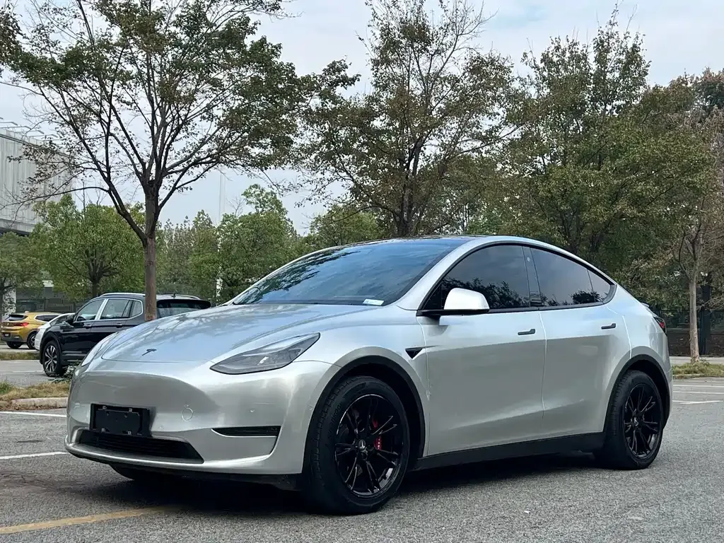 Tesla Model Y — фото 1