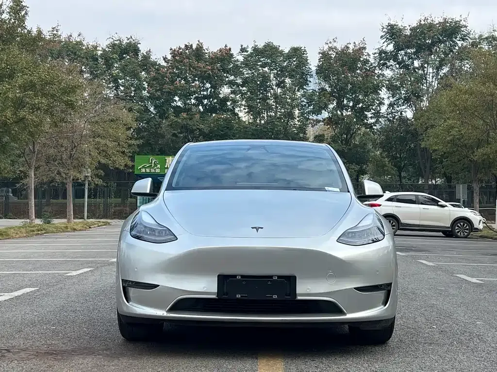 Tesla Model Y — фото 6
