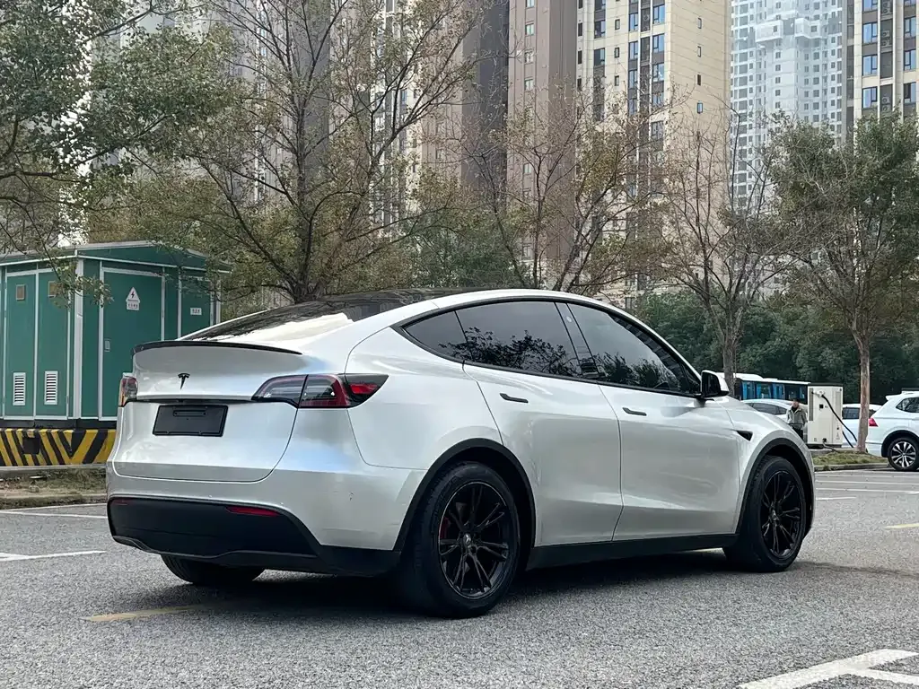 Tesla Model Y — фото 8