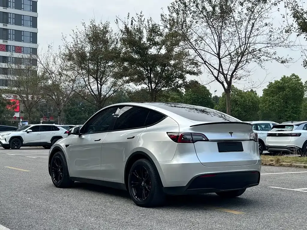 Tesla Model Y — фото 10