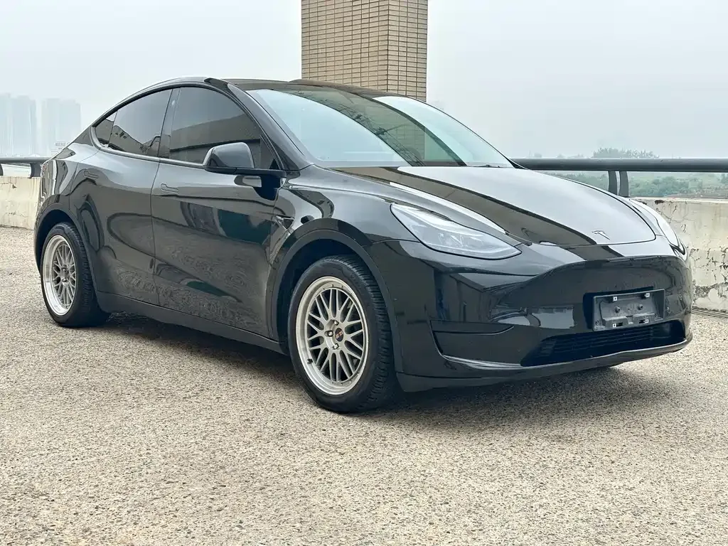 Tesla Model Y — фото 9