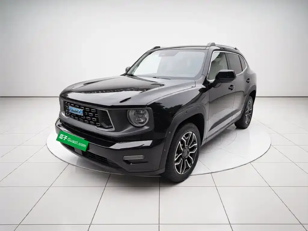 Haval Big Dog PLUS New Energy — фото 1