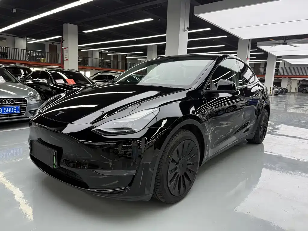 Tesla Model Y — фото 1