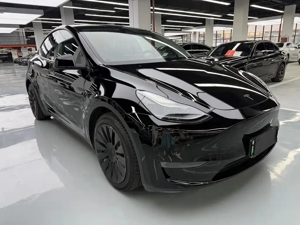 Tesla Model Y — фото 9