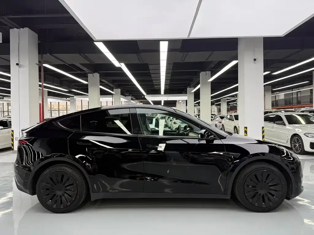 Tesla Model Y — фото 2