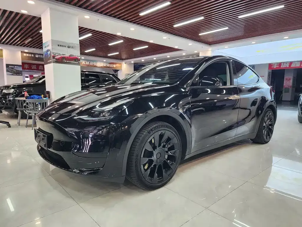 Tesla Model Y — фото 1