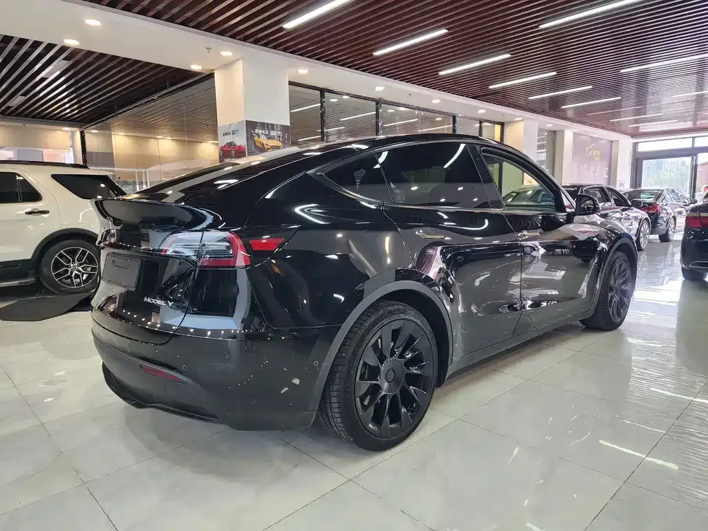 Tesla Model Y — фото 5