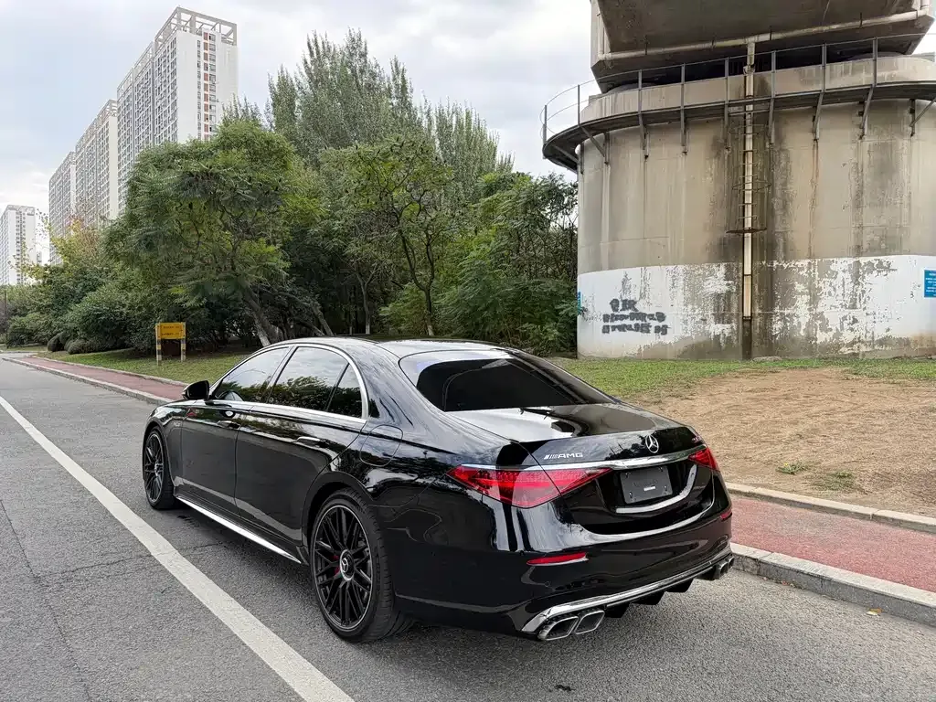 Mercedes-Benz S-Class AMG New Energy — фото 9