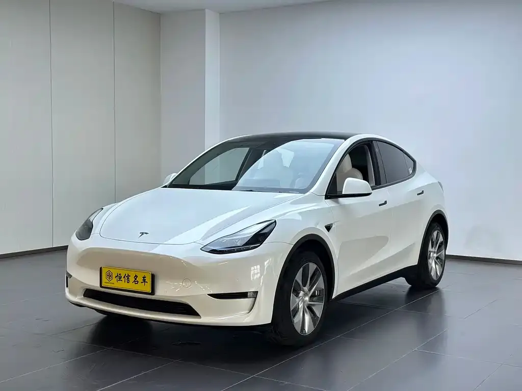 Tesla Model Y — фото 1