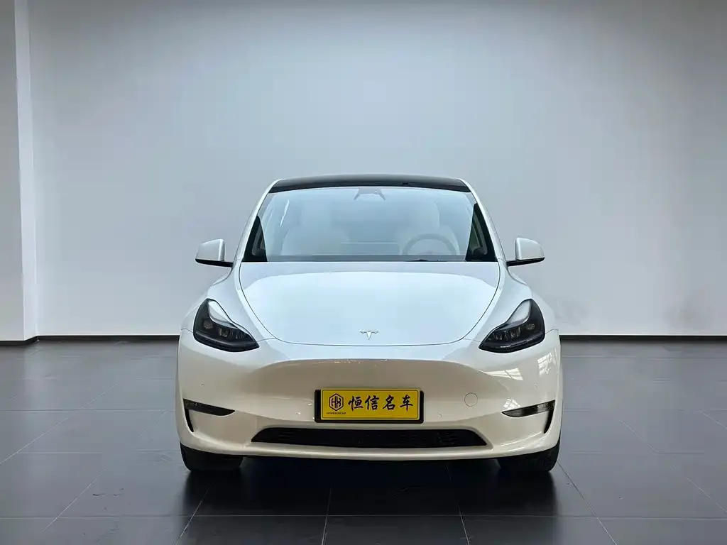 Tesla Model Y — фото 10