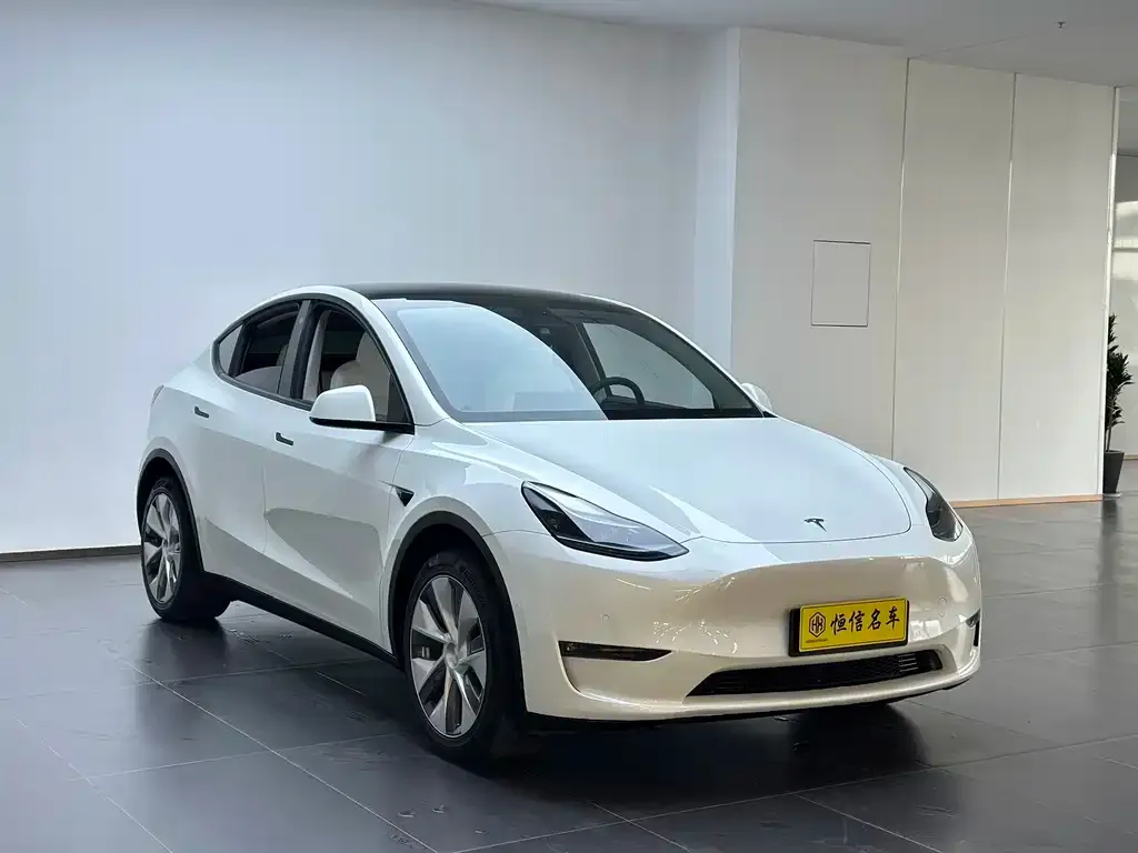 Tesla Model Y — фото 9