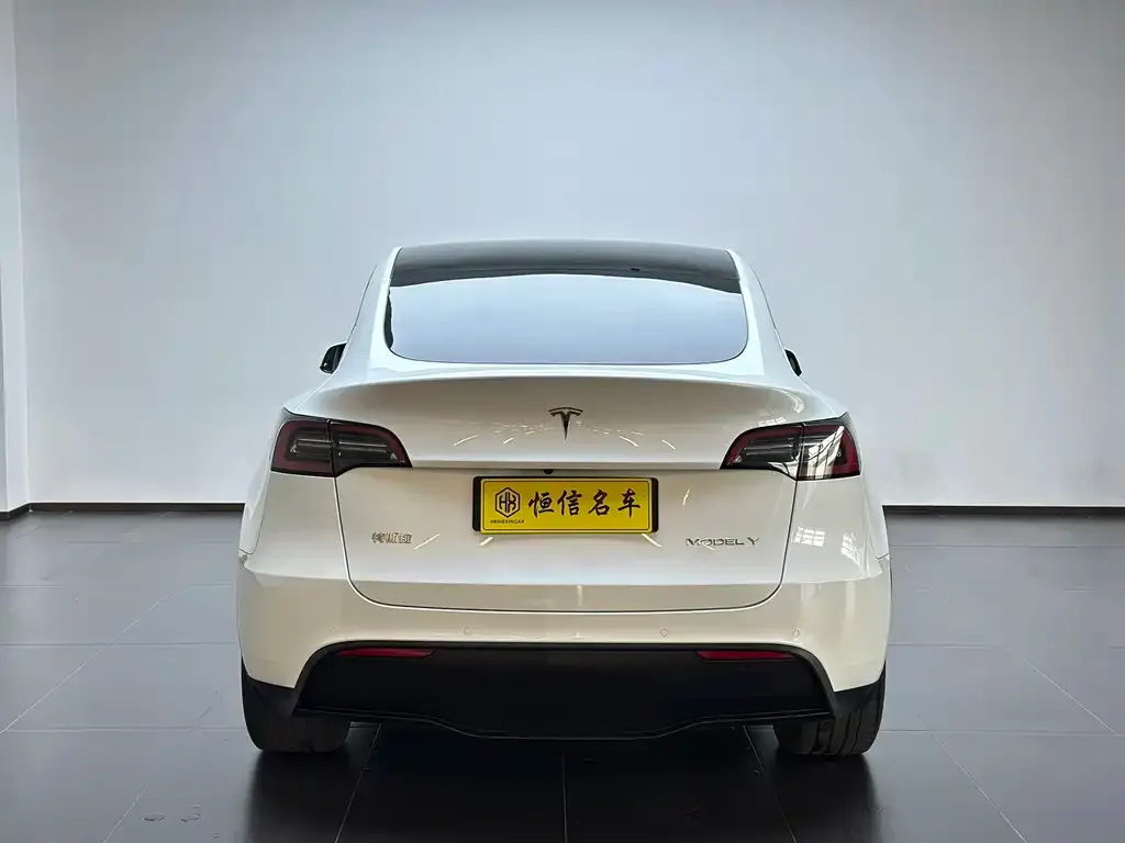 Tesla Model Y — фото 8