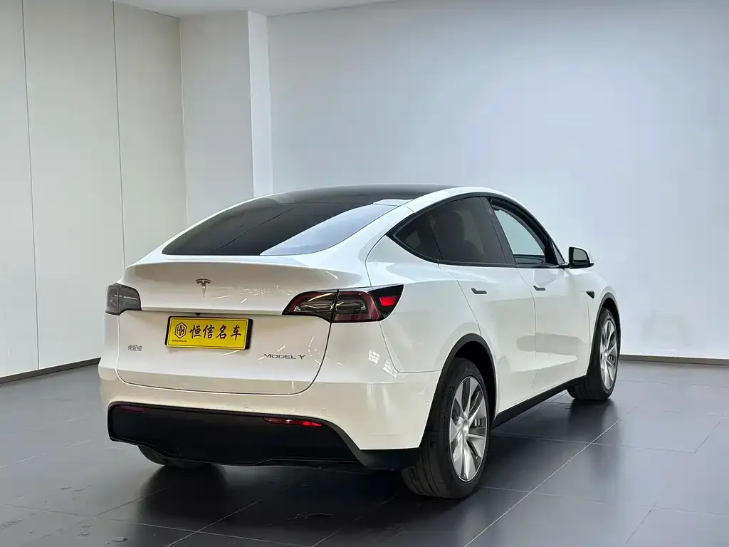 Tesla Model Y — фото 4