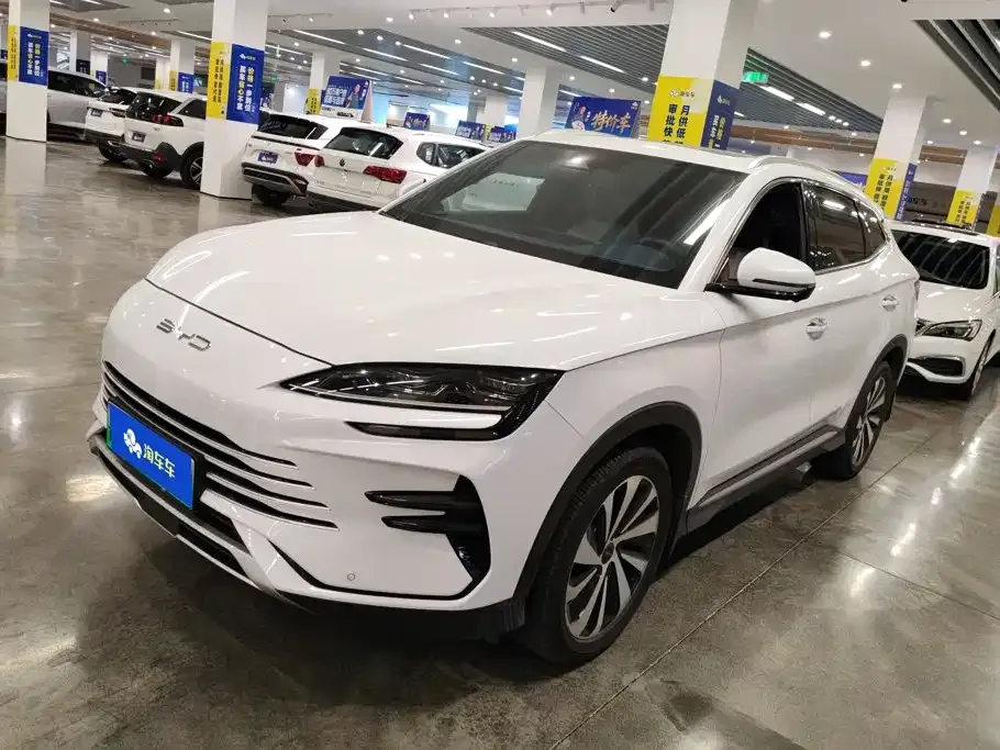 BYD PLUS New Energy — фото 1