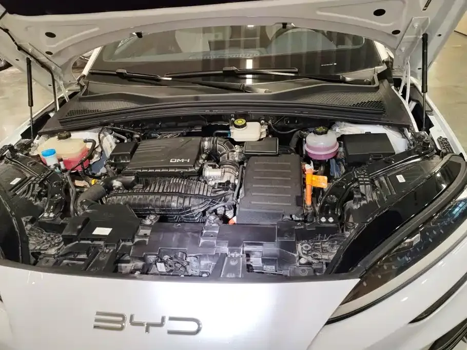 BYD PLUS New Energy — фото 10