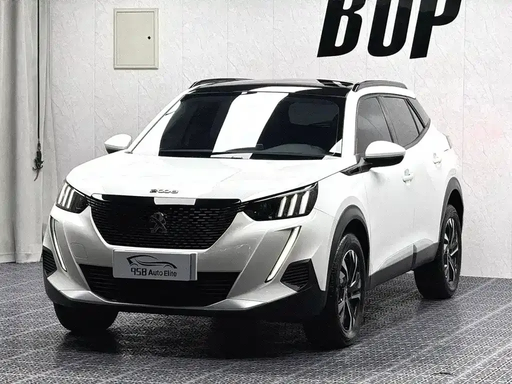 Peugeot 2008 — фото 1