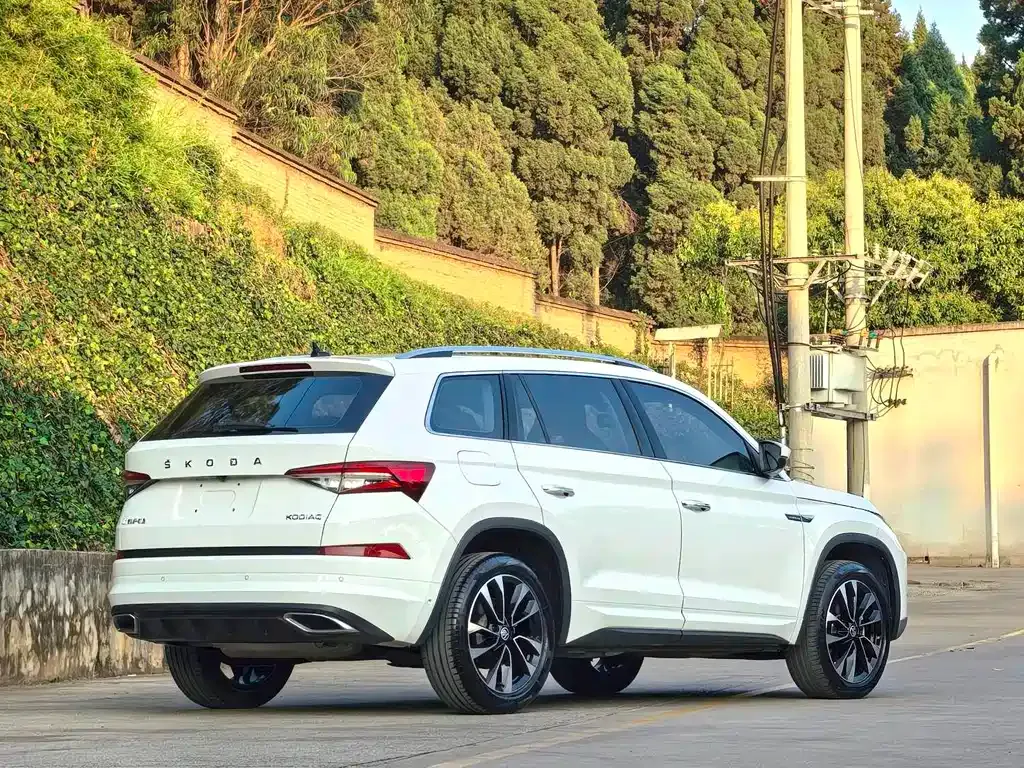Skoda Kodiaq — фото 9