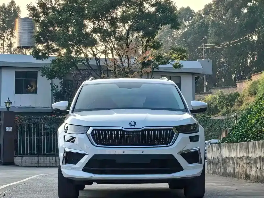 Skoda Kodiaq — фото 7
