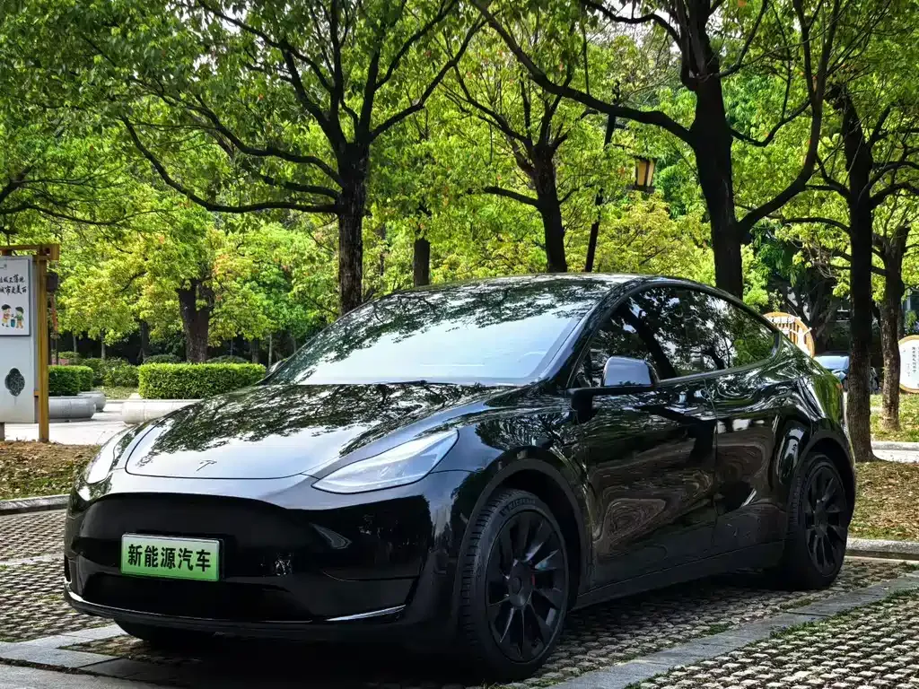 Tesla Model Y — фото 1
