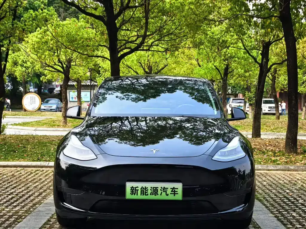 Tesla Model Y — фото 5