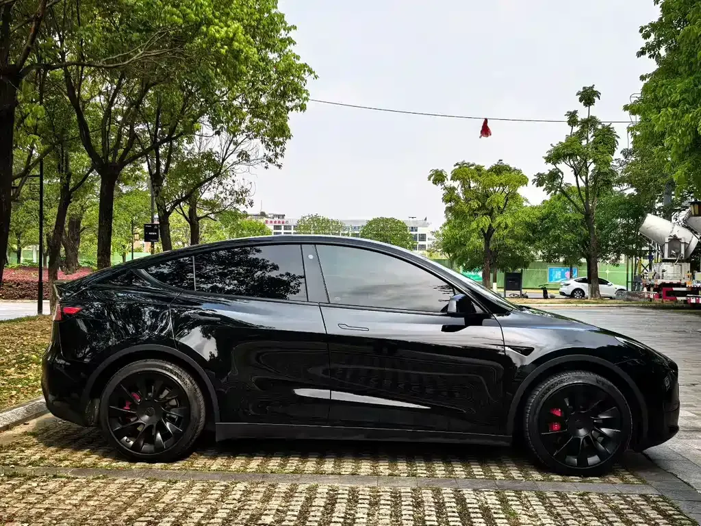 Tesla Model Y — фото 9