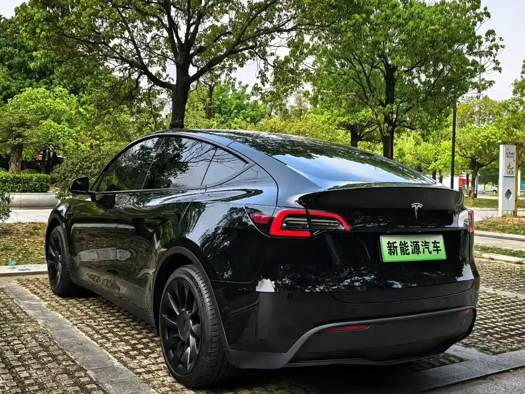 Tesla Model Y — фото 6