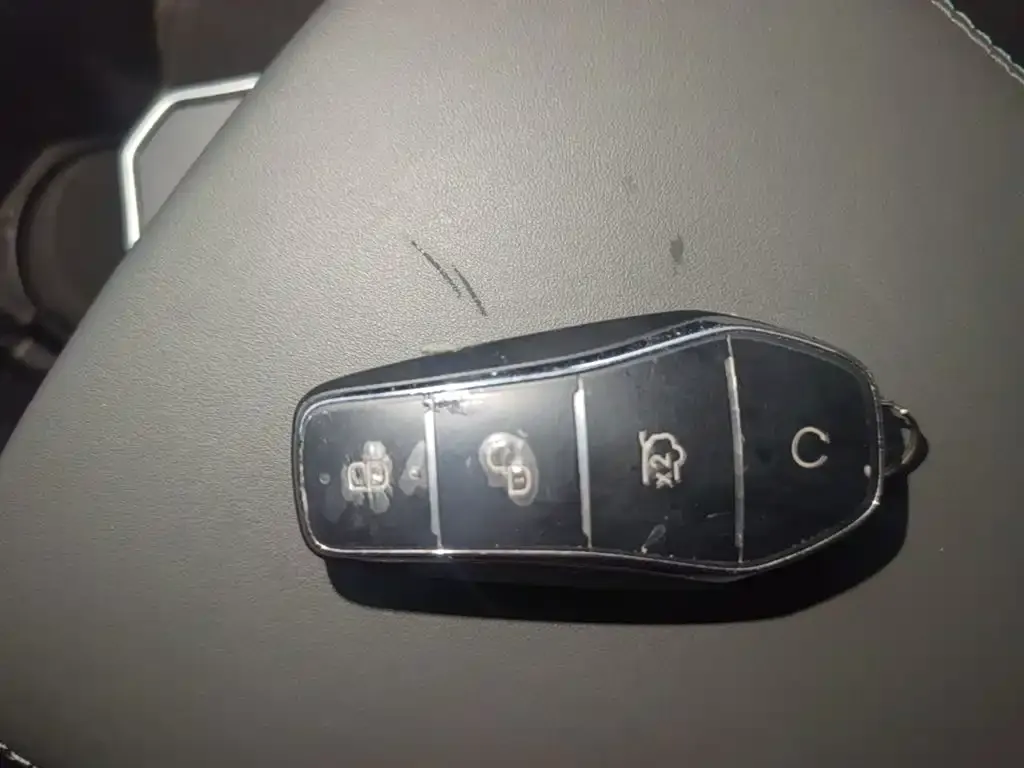 BYD Pro New Energy — фото 4