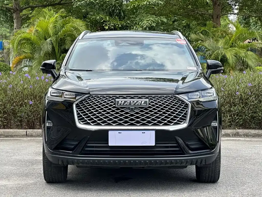 Haval H6 — фото 8