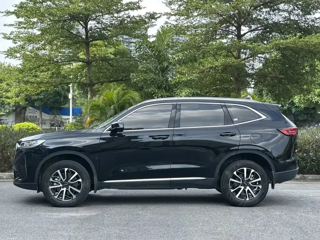 Haval H6 — фото 10