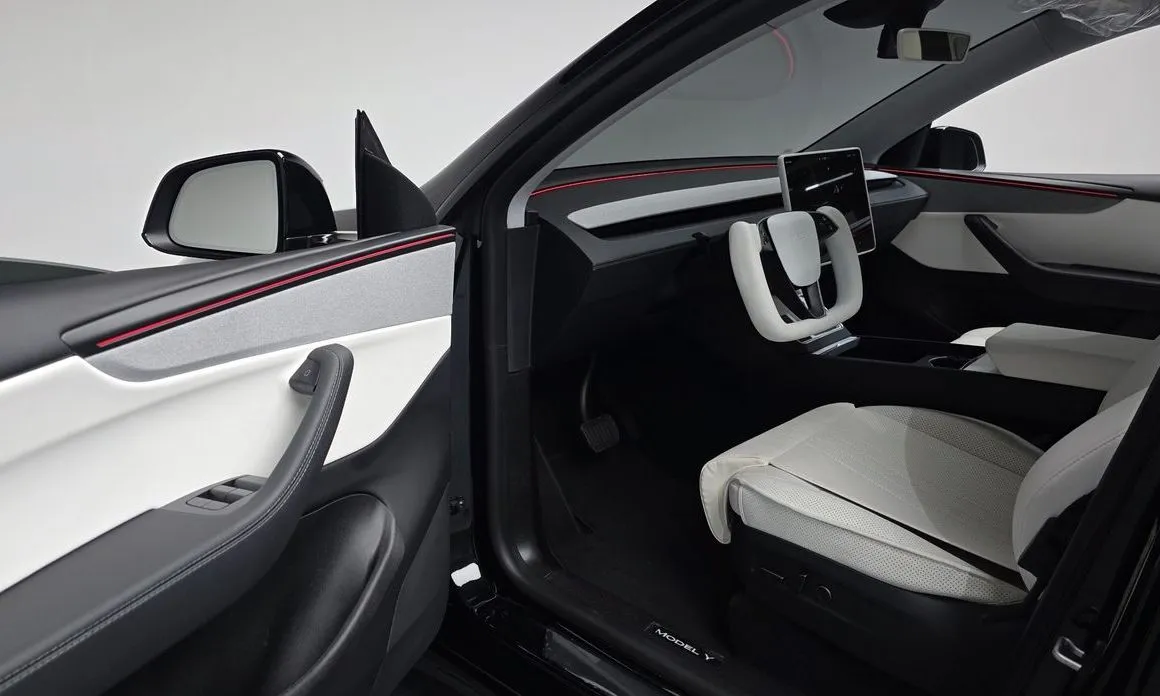 Tesla Model Y — фото 6