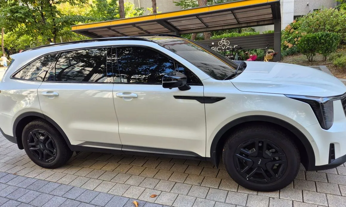 Kia Sorento — фото 10