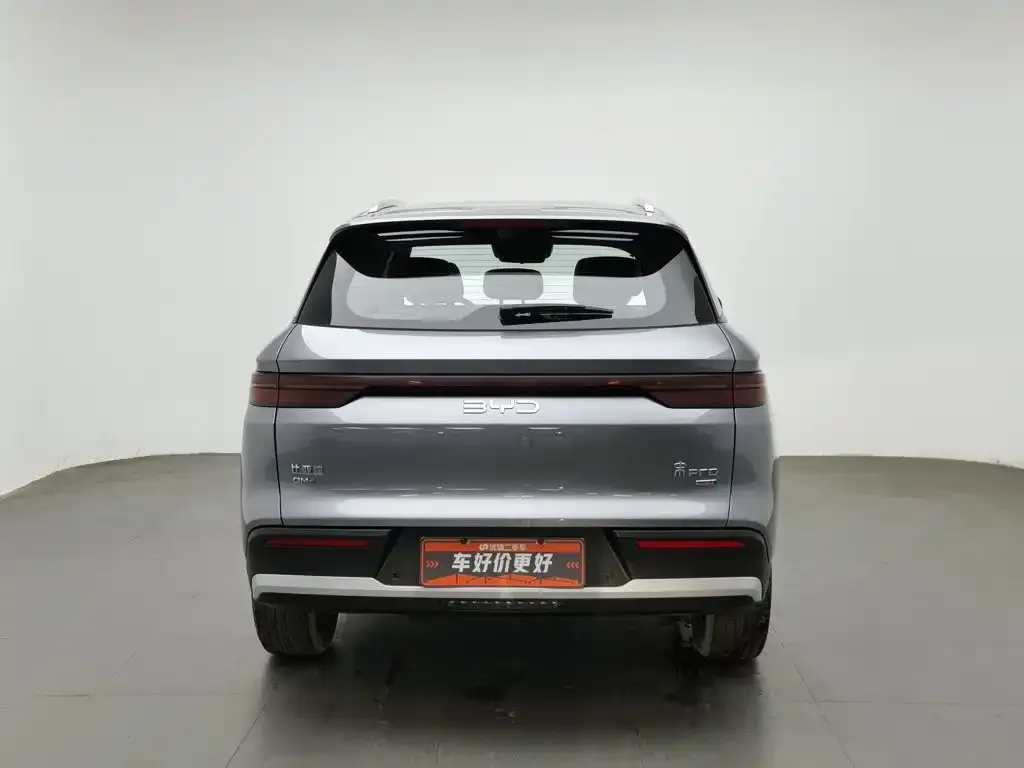 BYD Pro New Energy — фото 8