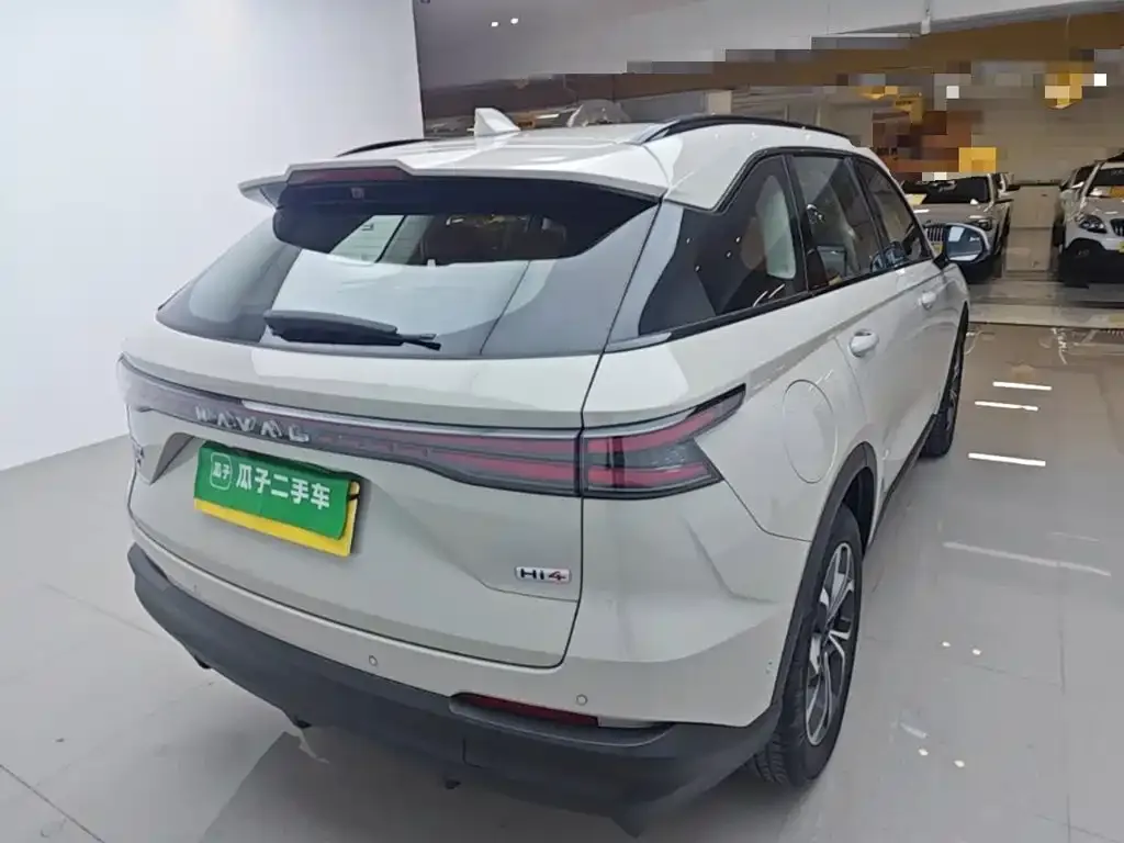 Haval Xiaolong MAX — фото 8