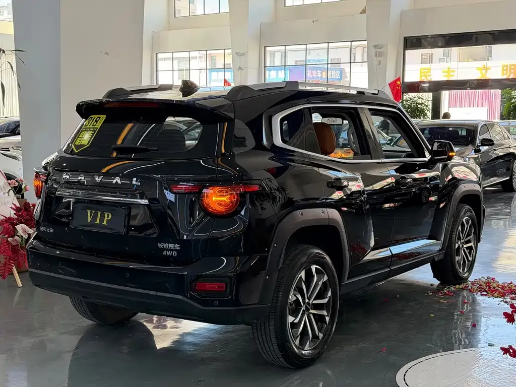 Haval Big Dog PLUS — фото 5