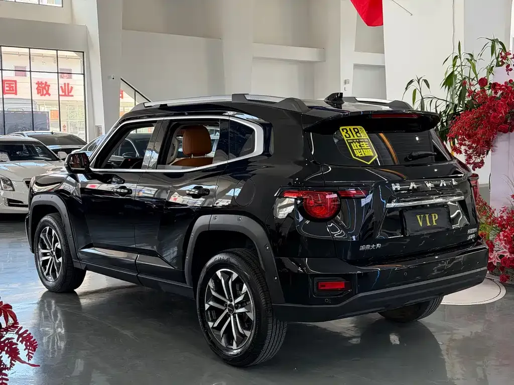 Haval Big Dog PLUS — фото 9