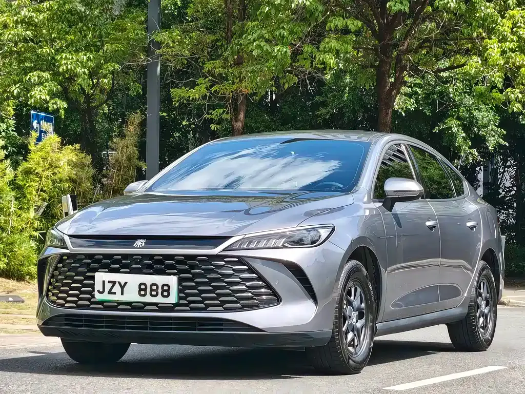 BYD Qin PLUS — фото 1