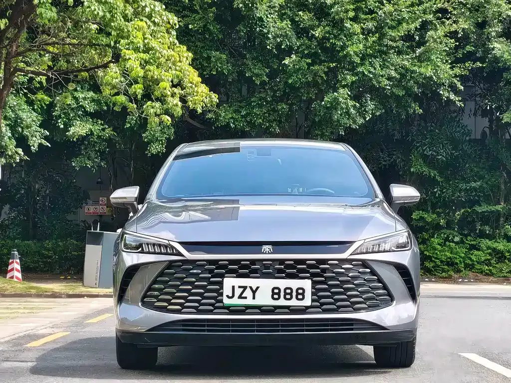 BYD Qin PLUS — фото 8