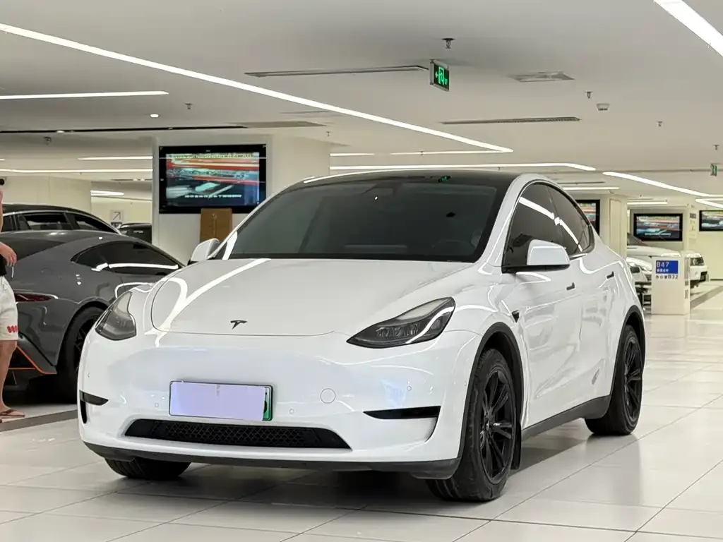 Tesla Model Y — фото 1
